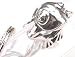 Frog Pewter Pocket Clip Key Ring Chain Keychain