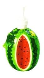 WATERMELON 3-Dimensional Soap/Lotion Dispenser NEW