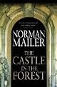 The Castle in the Forest: A Novel