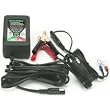 BatteryMINDer Charger/Maintainer/Desulfator - 1.3 Amp, 12 Volt, Model# 12117