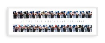 ポスター ドワイト バーﾄﾞ At the Twilights Last Gleaming　限定250枚 額装済 アルミベーシックフレーム（シルバー） 