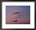 Airplane Preparing to Land Jfk International Airport at Twilight Transportation Frame...