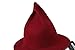 DANTIYA Women's Wool Felt Candy Colored Sharp Pointed Witch Hat for Halloween Party and Daily