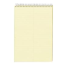 TOPS Spiral Steno Notebook, Gregg Rule, 6 x 9 Inches, Canary, 100 Sheets per Pad (63851)