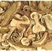 Porcini Mushrooms - Grade Super A 16 oz.