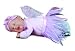 Anne Geddes Bean Filled Collection 9