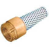 Low Lead Bronze Foot Valve