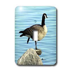 Cassie Peters Photography - Canada Goose Photographed by Angelandspot - Light Switch Covers - single toggle switch