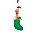 Grinch Max Stocking Ornament