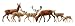 Faller 154007 - Damhirsche+ Rotwild, 12 St�ck