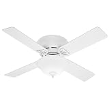 Hunter Fan Low-Profile IV Plus Ceiling Fan