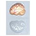 3-D Brain Candy Molds