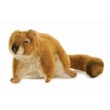 Brown Stoat 8