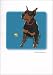 Grrreen Doberman Note Cards