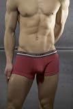 C-in2 2008 Pop Color Low Show Army Boxer Brief