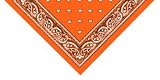 Orange Paisley Bandana