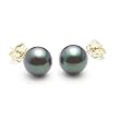 AAA Quality Round 7-7.5mm Akoya SaltWater cultured Black Pearl Earrings with 14K Yellow Gold Mount