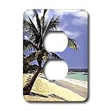 Tropical Island - Tropical Paradise - Light Switch Covers - 2 plug outlet cover