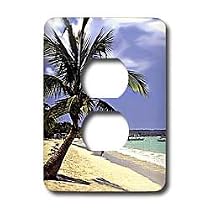 Tropical Island - Tropical Paradise - Light Switch Covers - 2 plug outlet cover