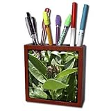 Patricia Sanders Flowers - bee on flower bud II - Tile Pen Holders-5 inch tile pen holder