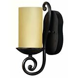 Hinkley Lighting 5640OL 1 Light Wall Sconce - Olde Black Gold Hill Traditional Rustic Lights