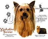 Yorkshire Terrier Adult Sweatshirt