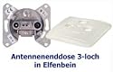 Antennenenddose 3-loch in Elfenbein