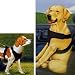 Four Paws Seat Vest Harness Black