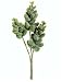 Allstate CK3023-GR 6 in. Donkey Tail Pick Green- Case of 12