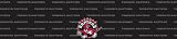 Toronto Raptors Team Auto Visor Decal