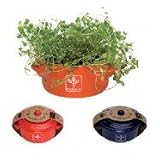 Petit Coco Casserole Herb Pot in Blue