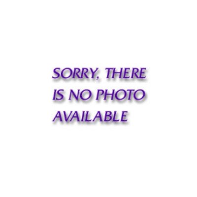 1 Quart Disposable Mixing Cups 100/Box