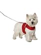 RED - SMALL - Fashion Pet Reflective Harness & Lead Set