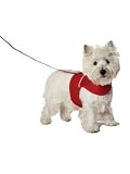 RED - SMALL - Fashion Pet Reflective Harness & Lead Set
