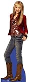 Hannah Montana , 59x168