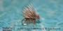 Elk Hair Caddis-Natural