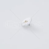 Fotodiox Pro, Soft Shutter Release Button for Leica Cameras (White)