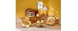 Calico Critters Family Room with Aquarium