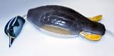 Dokken Dead Fowl Trainer Wood Duck