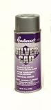 Corvette Paint: Silver Cad Paint