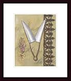 Victoria's Garden I (PT) by Chariklia Zarris 13.00X19.00 Framed with Black Wood Frame