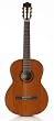 Cordoba C5 Nylon String Acoustic Guitar