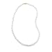 16 14k Yellow Gold 6-6.5mm (AA) Akoya Pearl Necklace