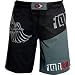 FIGHTCO MMA WINGS FIGHT SHORTS size 34