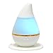 Tzwns 250ml Cool Mist Humidifier Timer Settings LED Rainbow Color Auto-Changing Mode 8 Hours Continous Mist Mode Running Auto Shut off Suitable for Yoga Spa Bedroom Living Room Office