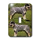 Dogs Australian Cattle - Australian Cattle Dog - Light Switch Covers - single toggle switch