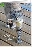 Bengal Cat - Hey You Good Luck Card