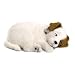 Jack Russell Animated Pet