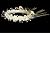 AMJ Dresses Inc Girls Ivory Flower Girl Hair Wreath One Size Fits All