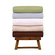 Organic Cotton Twin Sheet Set (Stem Green)
